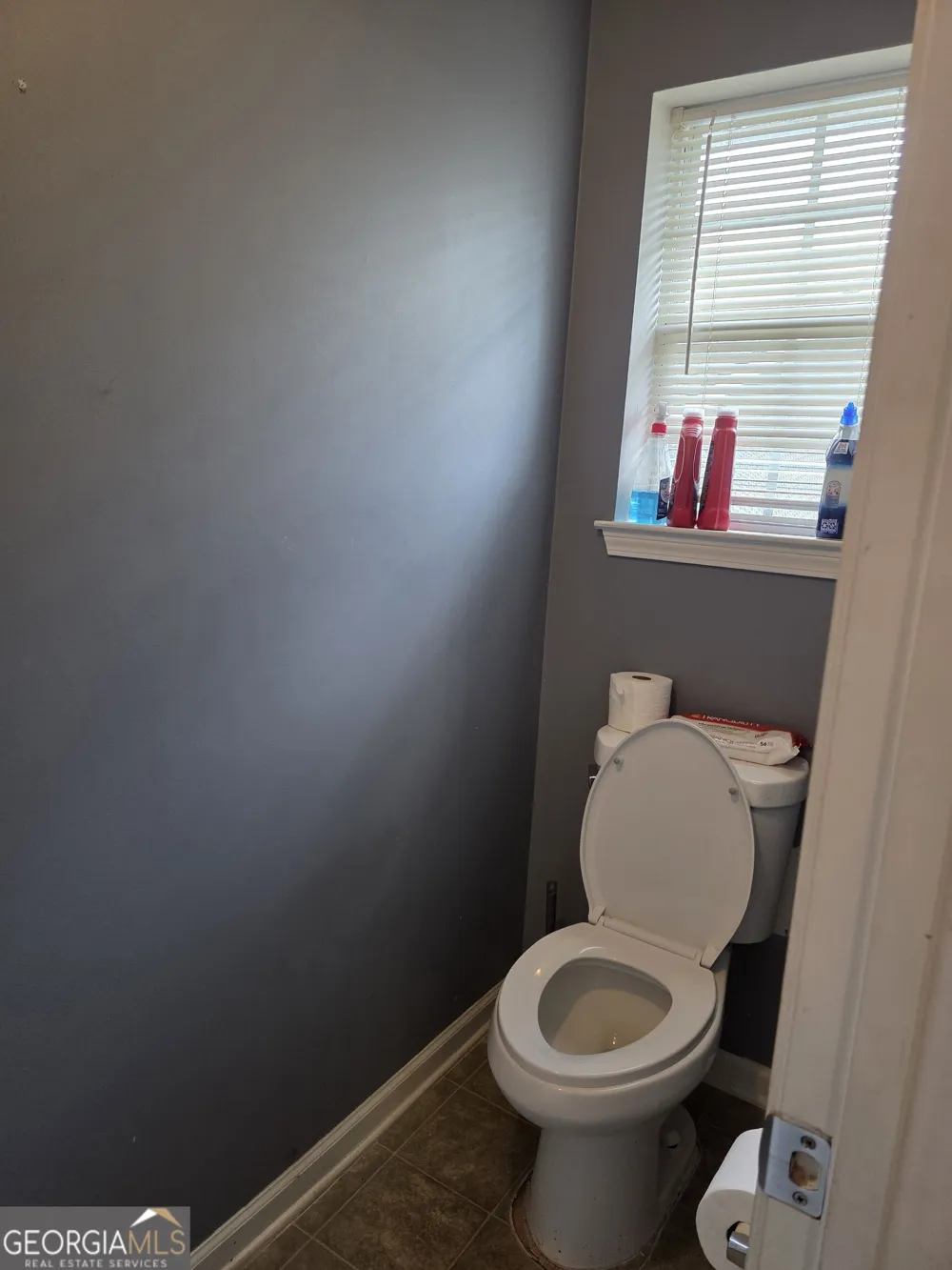 37 Virginia AVE Sharpsburg, GA 30277