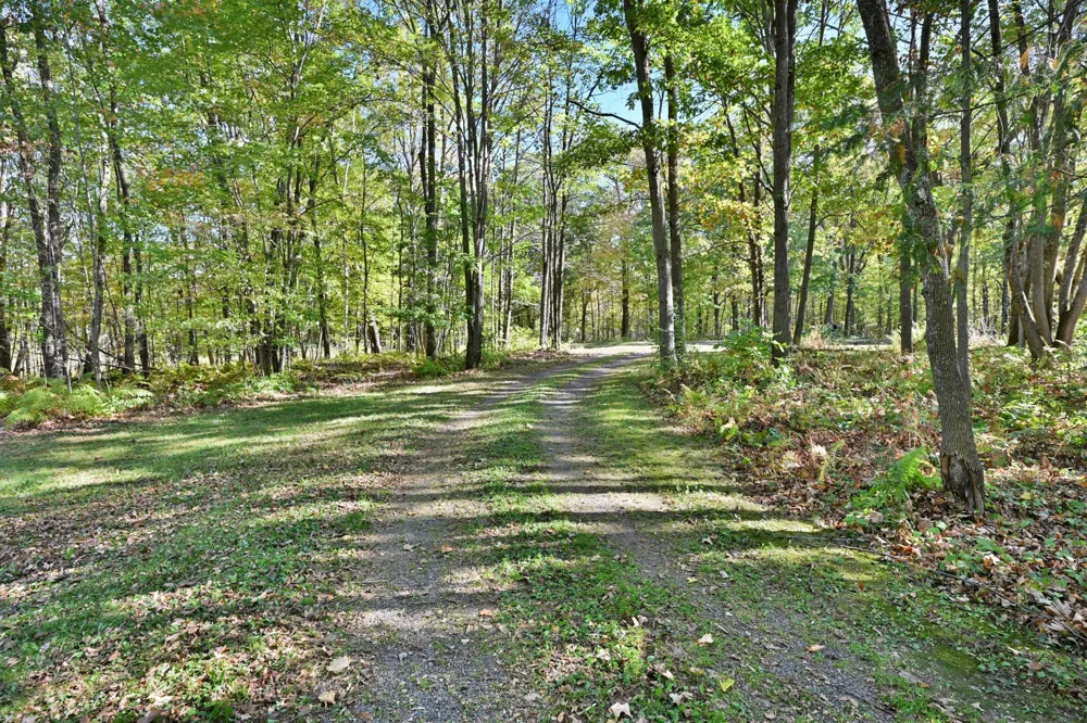 N9161 Shady Lane Trego, WI 54888