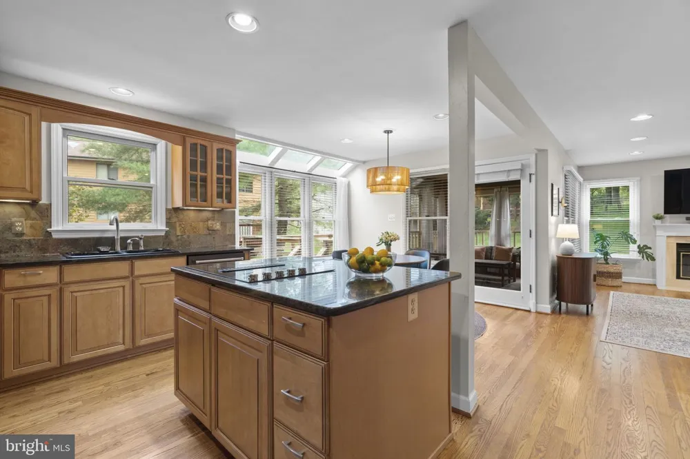12110 BLUE FLAG WAY Columbia, MD 21044