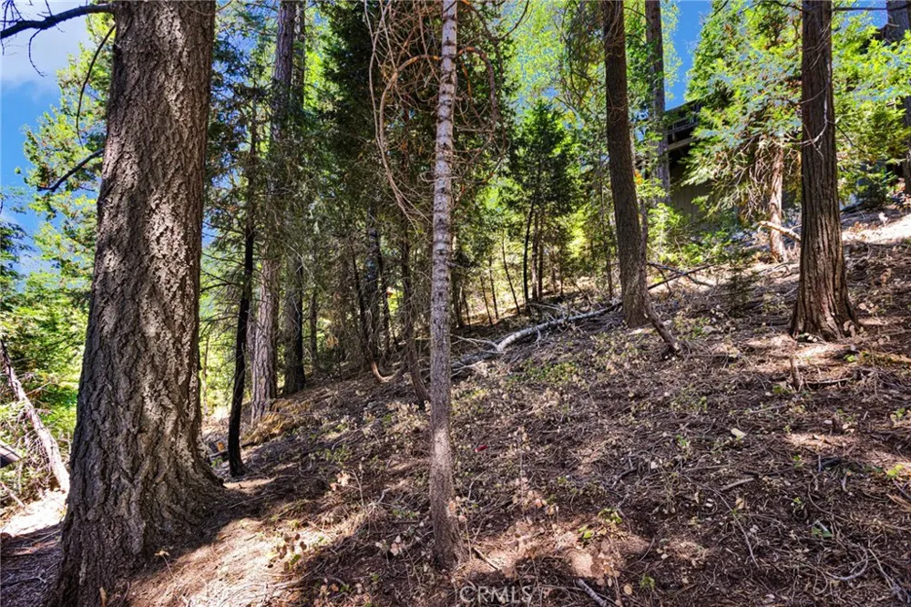 739 Lake Lake Arrowhead, CA 92385