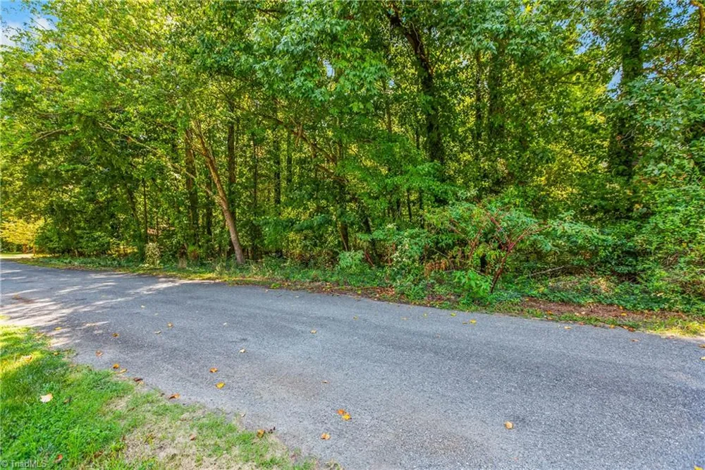 0 Alma Drive Winston-Salem, NC 27105
