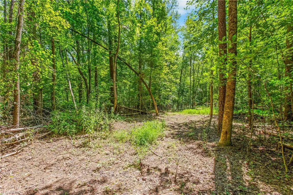 0 Alma Drive Winston-Salem, NC 27105