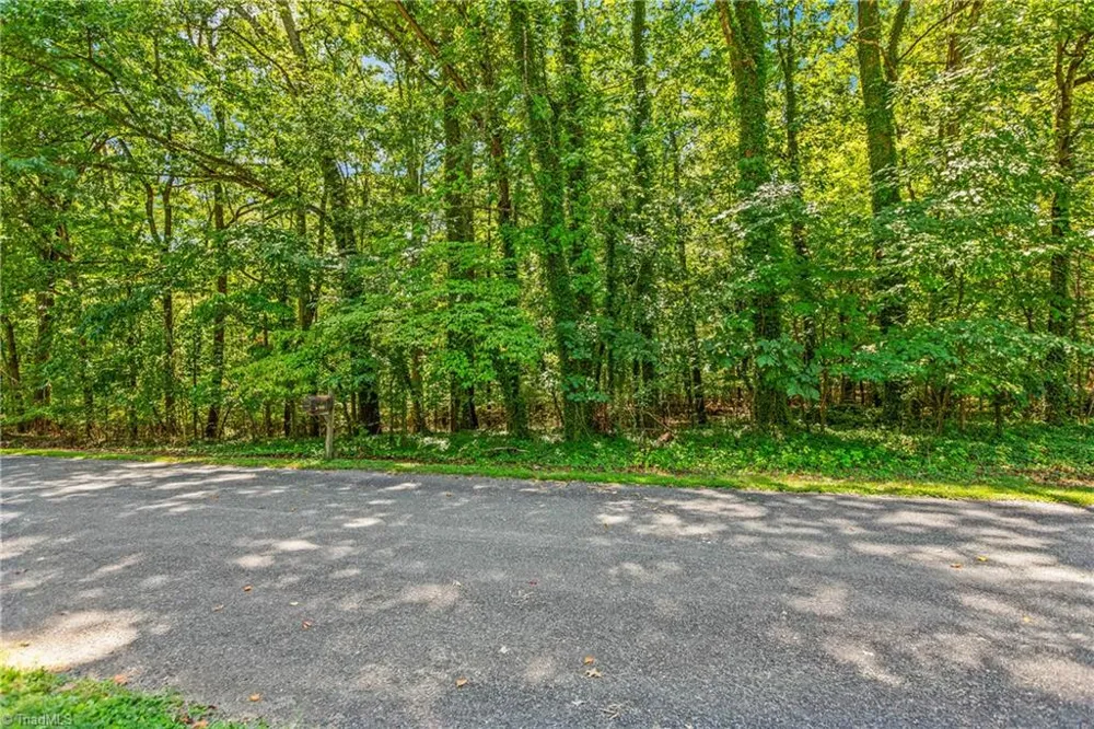 0 Alma Drive Winston-Salem, NC 27105
