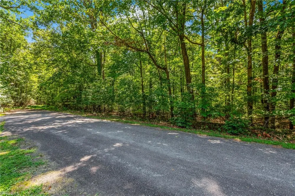 0 Alma Drive Winston-Salem, NC 27105