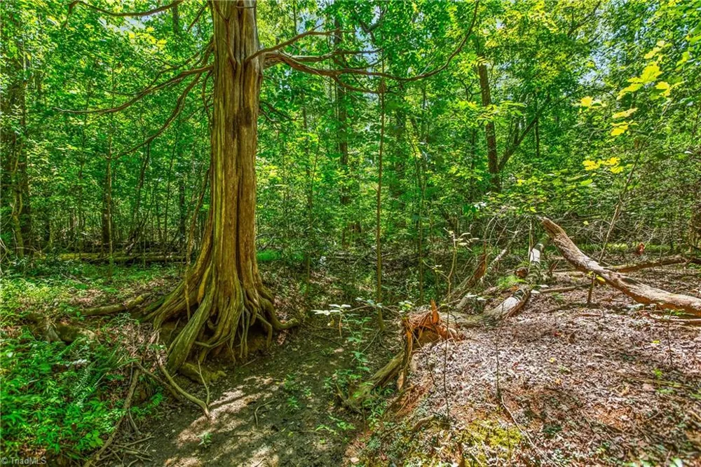 0 Alma Drive Winston-Salem, NC 27105