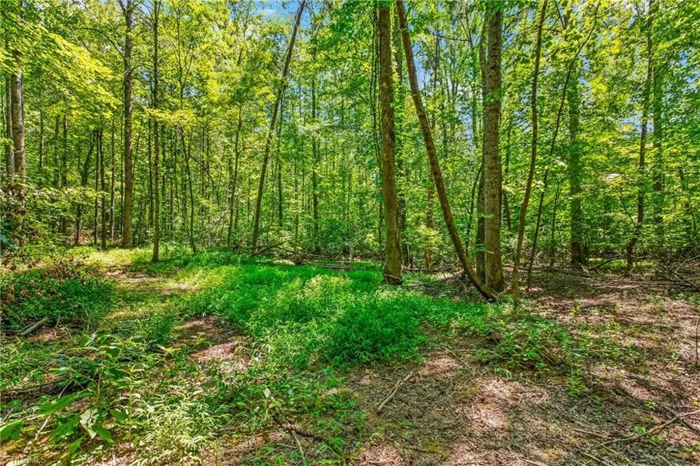 0 Alma Drive Winston-Salem, NC 27105