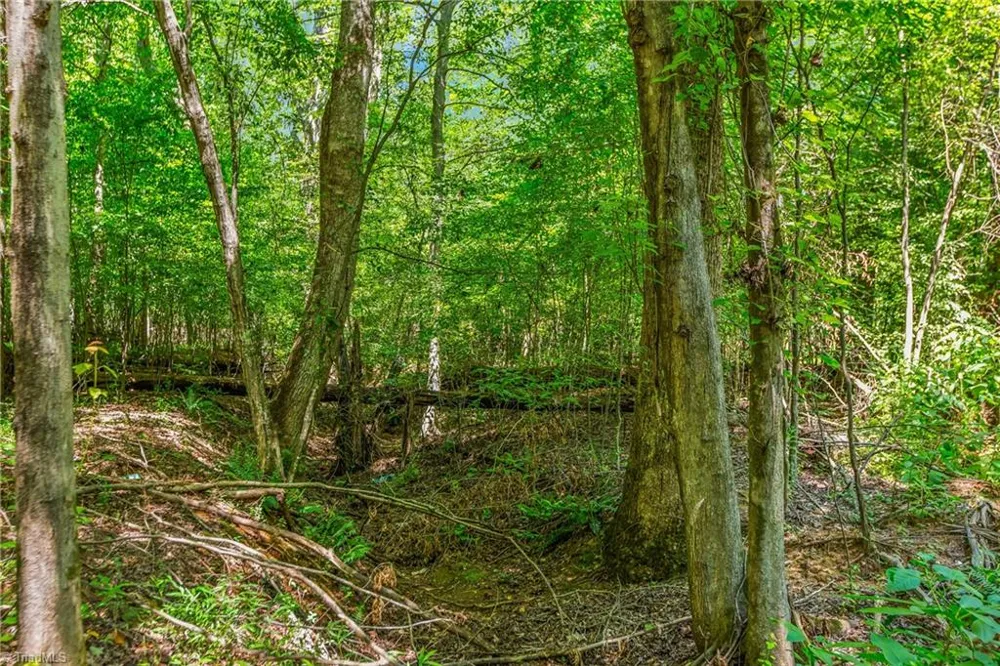 0 Alma Drive Winston-Salem, NC 27105