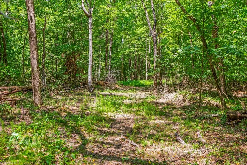 0 Alma Drive Winston-Salem, NC 27105