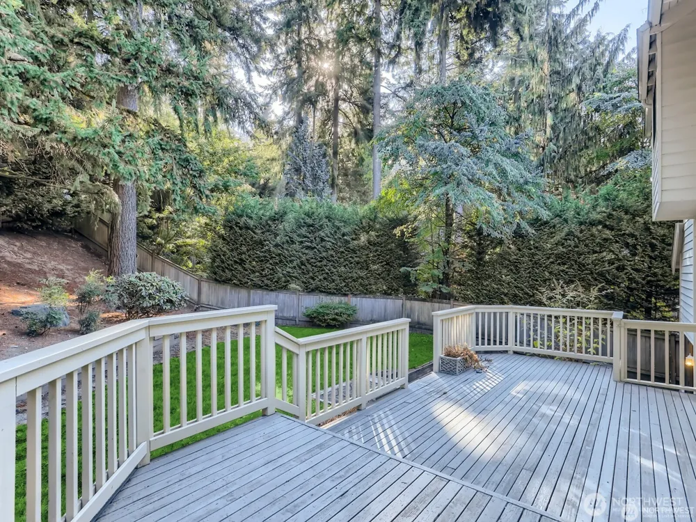 3810 110th Avenue NE Bellevue, WA 98004