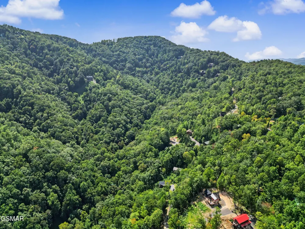 2724 Pine Crest Lane Sevierville, TN 37862