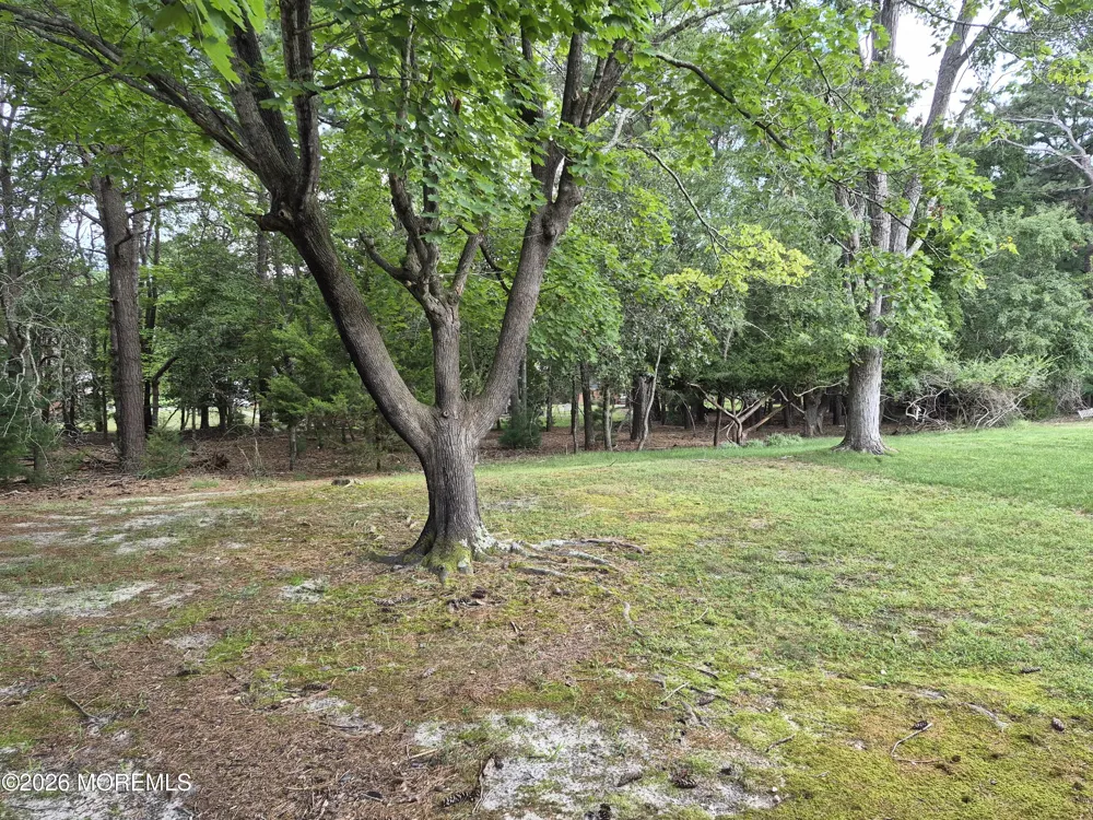 8 Potomac Lane Lane #A Whiting, NJ 08759
