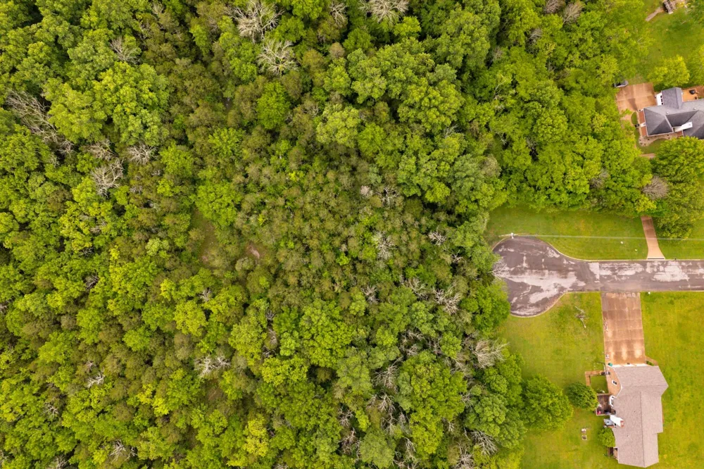 0 Canterbury Trail Mount Juliet, TN 37122