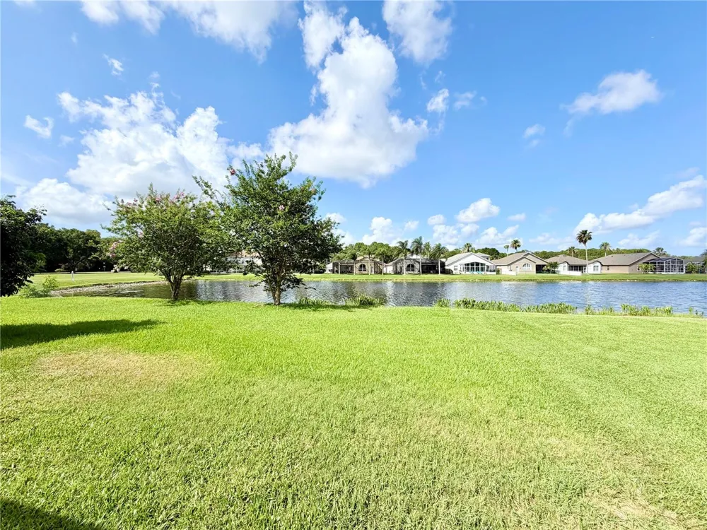 14606 CORAL BERRY DRIVE Tampa, FL 33626