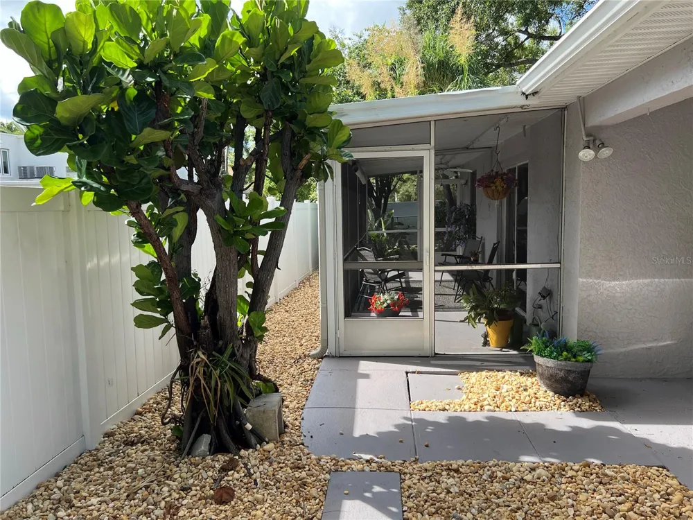 3804 W EMPEDRADO STREET Tampa, FL 33629