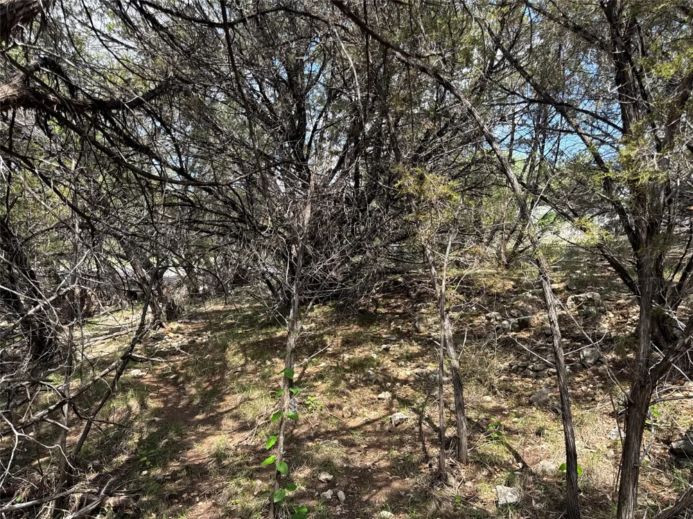 21501 Paseo De Vaca Street Leander, TX 78645