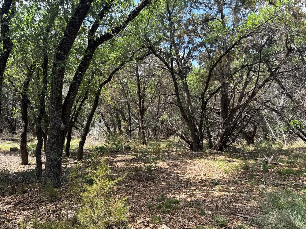 21501 Paseo De Vaca Street Leander, TX 78645