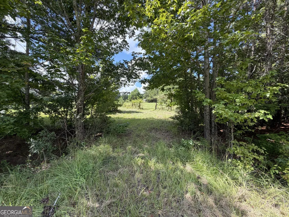 7.65 ACRES Baker Rd Shiloh, GA 31826