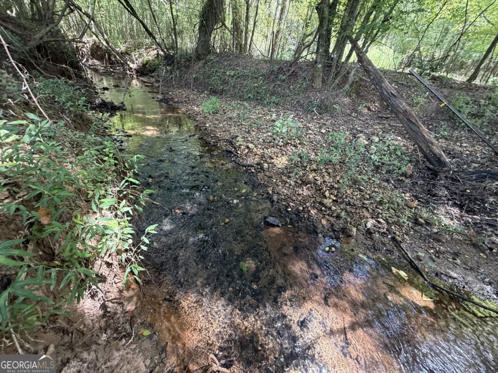 7.65 ACRES Baker Rd Shiloh, GA 31826