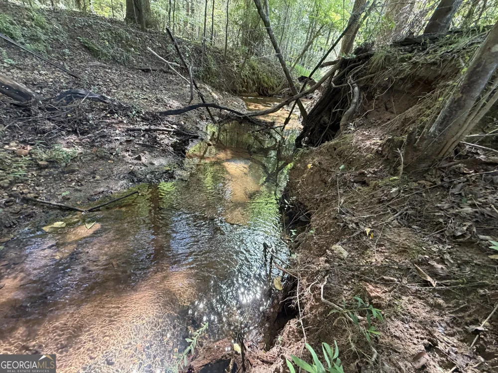 7.65 ACRES Baker Rd Shiloh, GA 31826