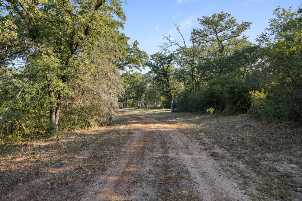 11789 FM 2095 Gause, TX 77857