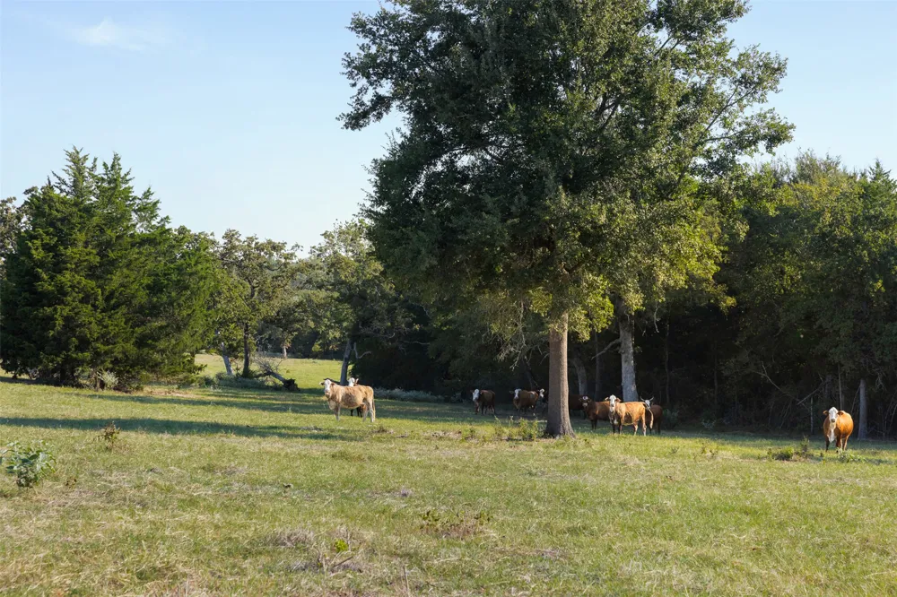 11789 FM 2095 Gause, TX 77857
