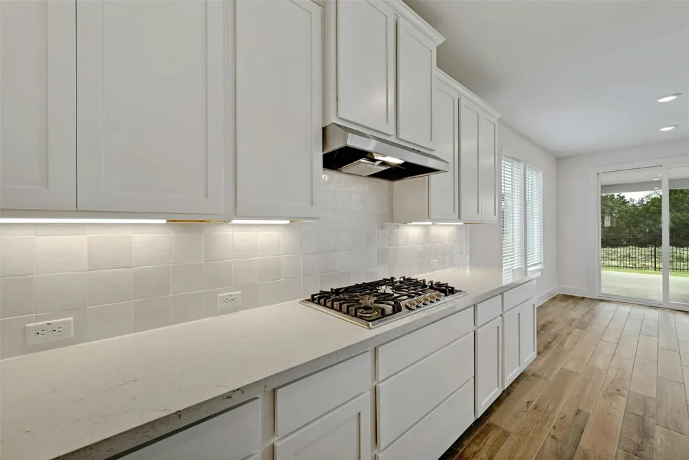 1184 Sage Thrasher Circle Dripping Springs, TX 78620