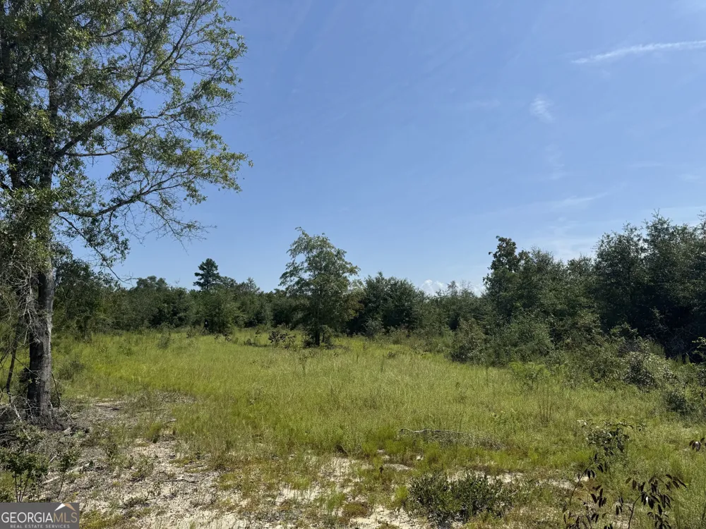 39.317 Ronnie RD Buena Vista, GA 31803