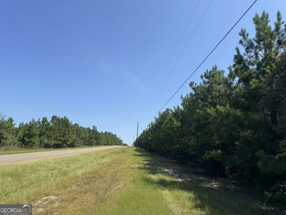 39.317 Ronnie RD Buena Vista, GA 31803
