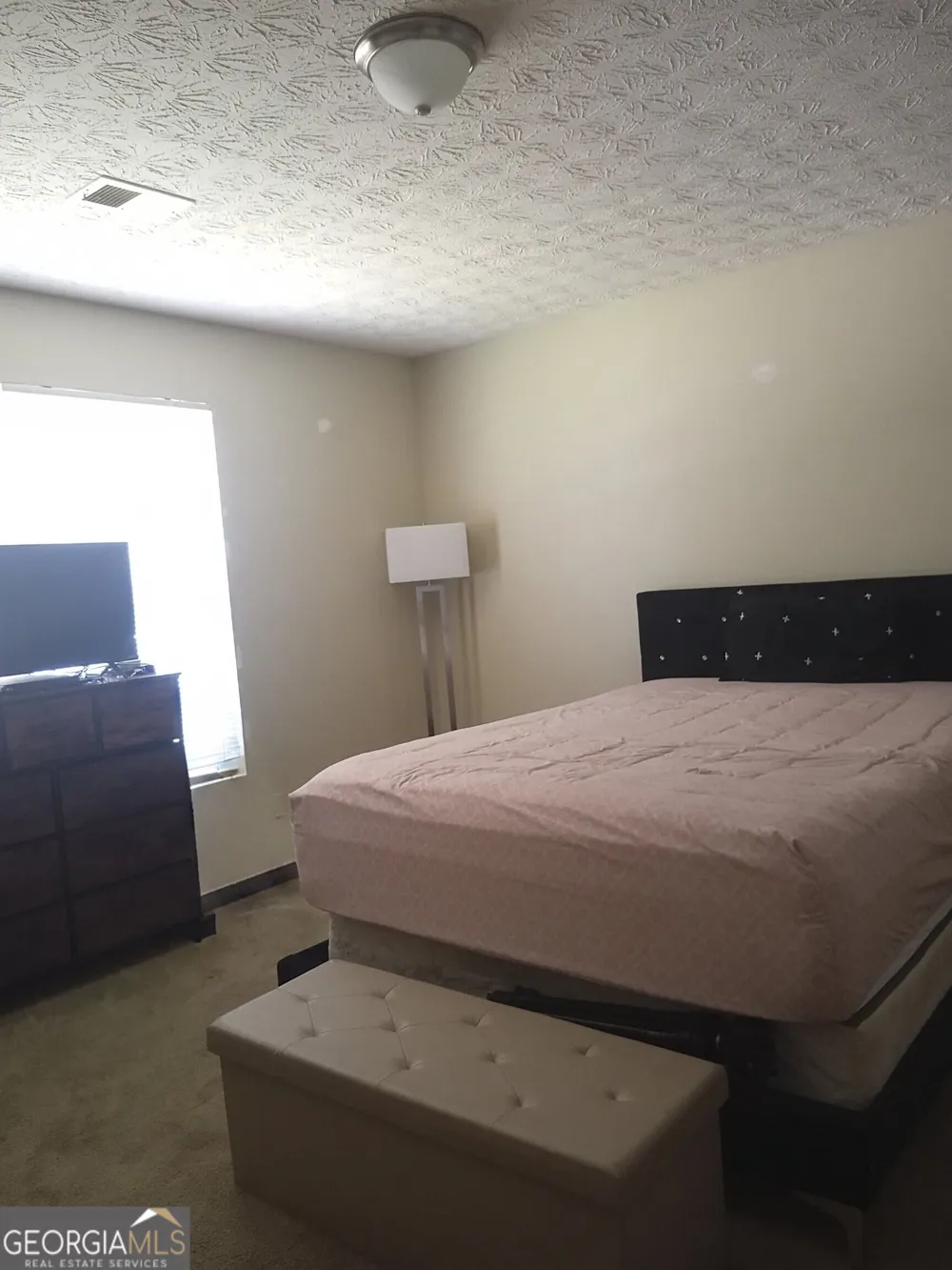 2102 Fairington Club DR Lithonia, GA 30038