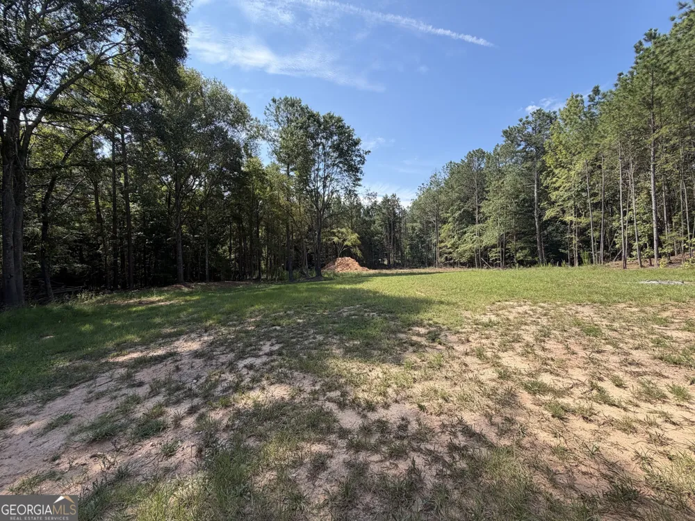 1617 Sweet City RD Elberton, GA 30635