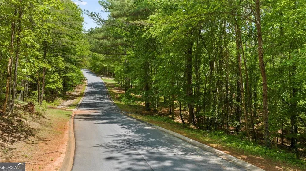 0 Golden Delicious RD Clarkesville, GA 30523