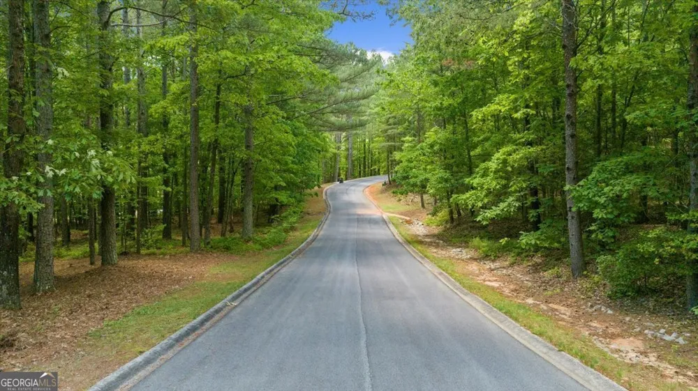 0 Golden Delicious RD Clarkesville, GA 30523