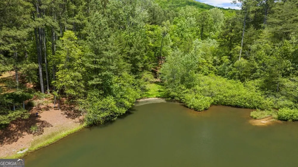 0 Golden Delicious RD Clarkesville, GA 30523