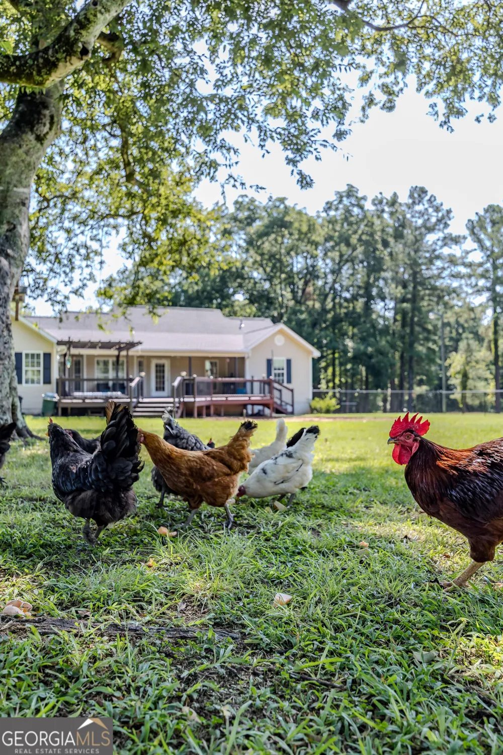 344 Horace Veal Road Milledgeville, GA 31061