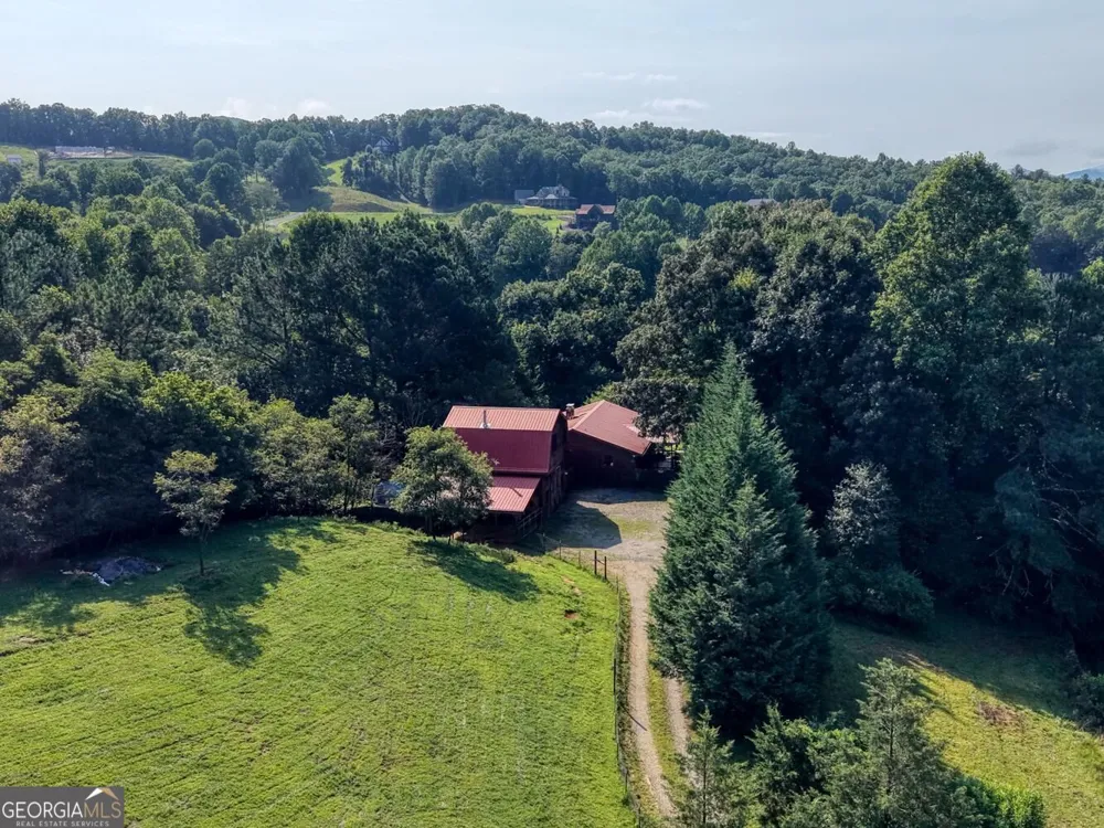 4782 Squirrel Hunting RD Morganton, GA 30560
