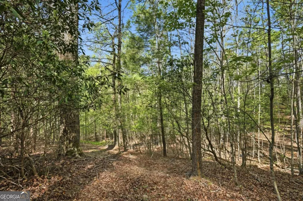 0 Mill Trace CT Cleveland, GA 30528