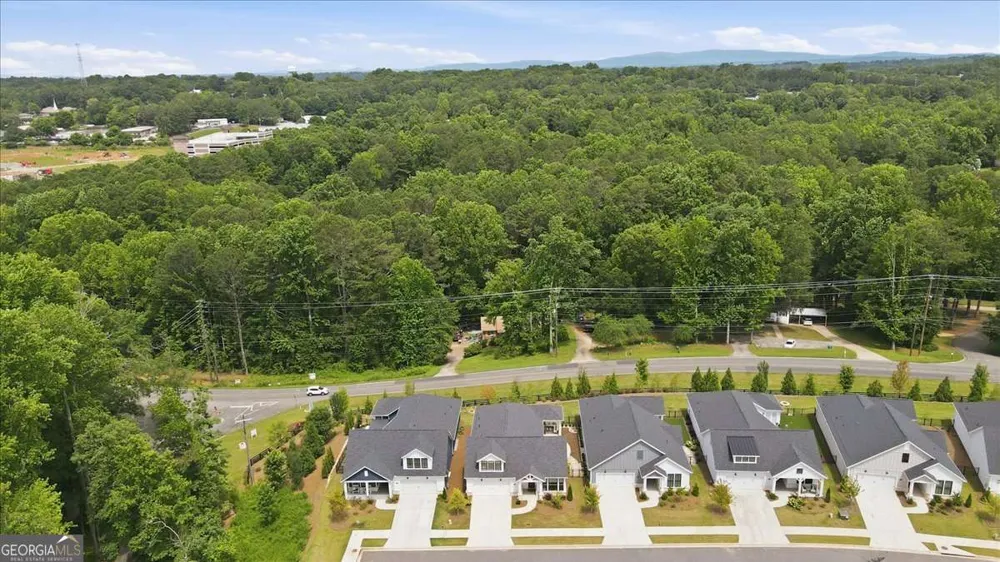 252 Persimmon DR Canton, GA 30115