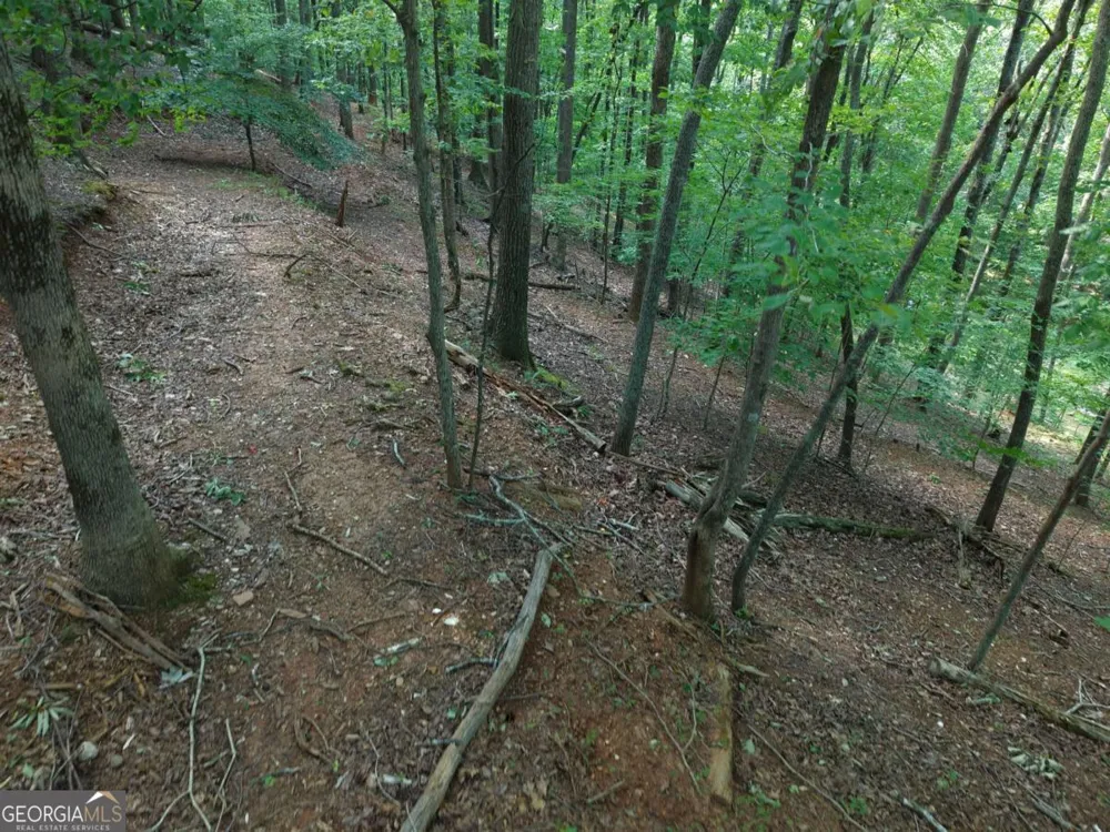 200 Crosscreek TRL Jasper, GA 30143