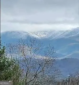 1900 Long Ridge RD Hiawassee, GA 30546