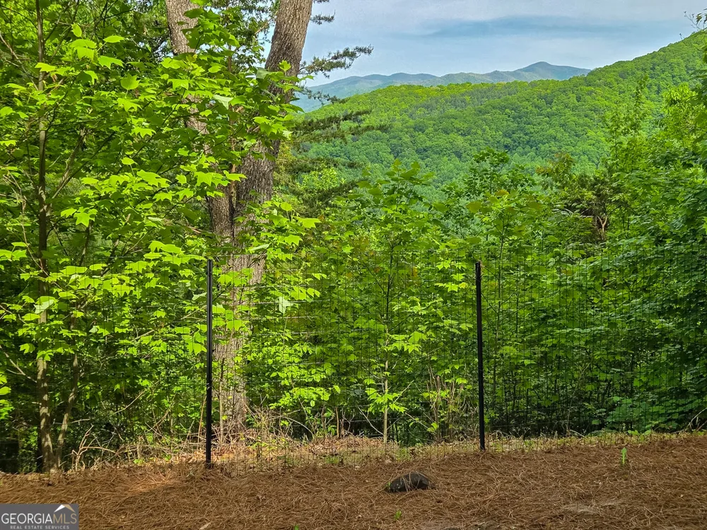 1900 Long Ridge RD Hiawassee, GA 30546