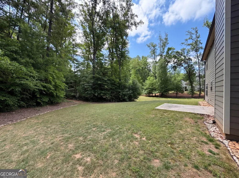 92 Old Bailey Farms DR Senoia, GA 30276