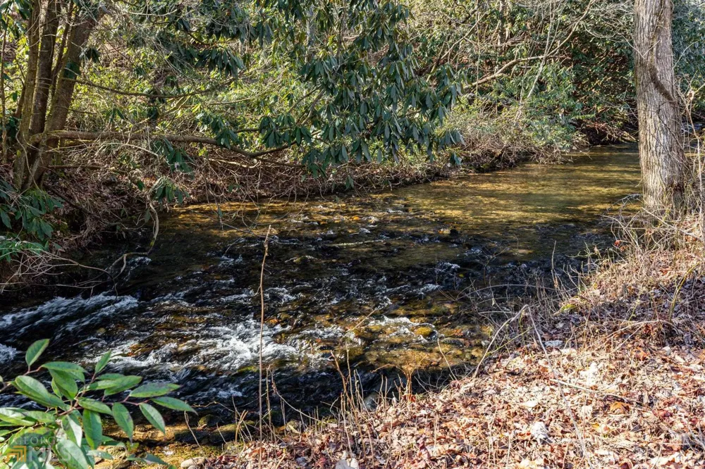 59 AC Hwy 356 & Skylake RD Sautee Nacoochee, GA 30571