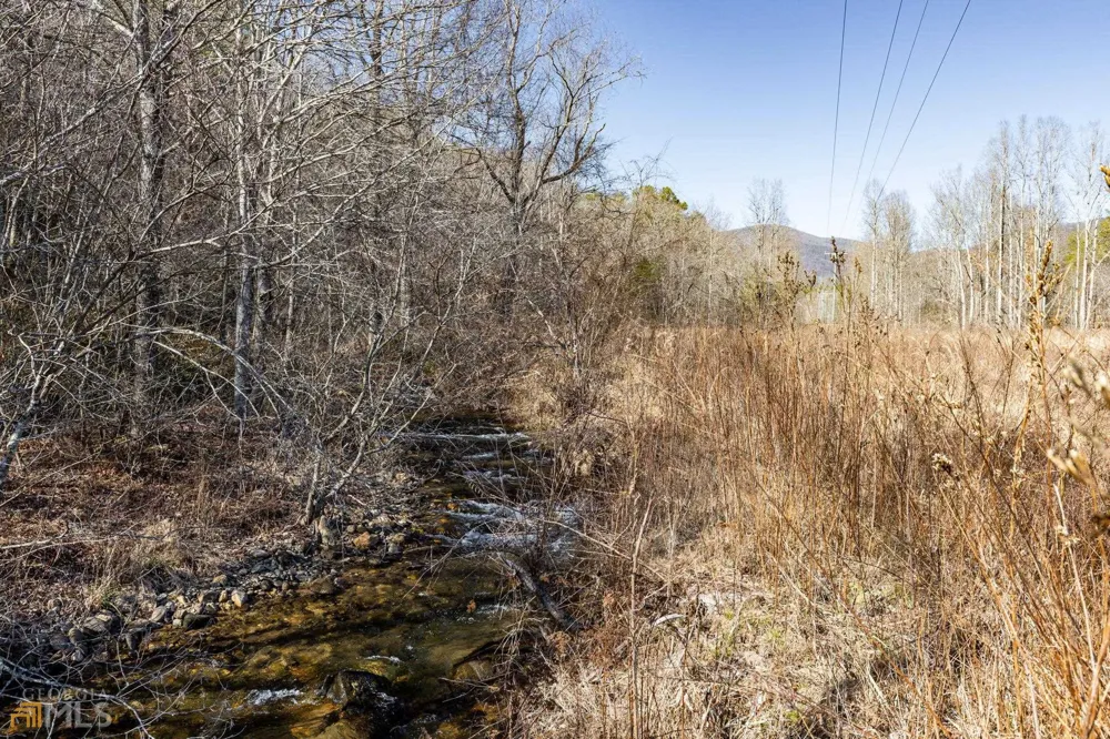 59 AC Hwy 356 & Skylake RD Sautee Nacoochee, GA 30571
