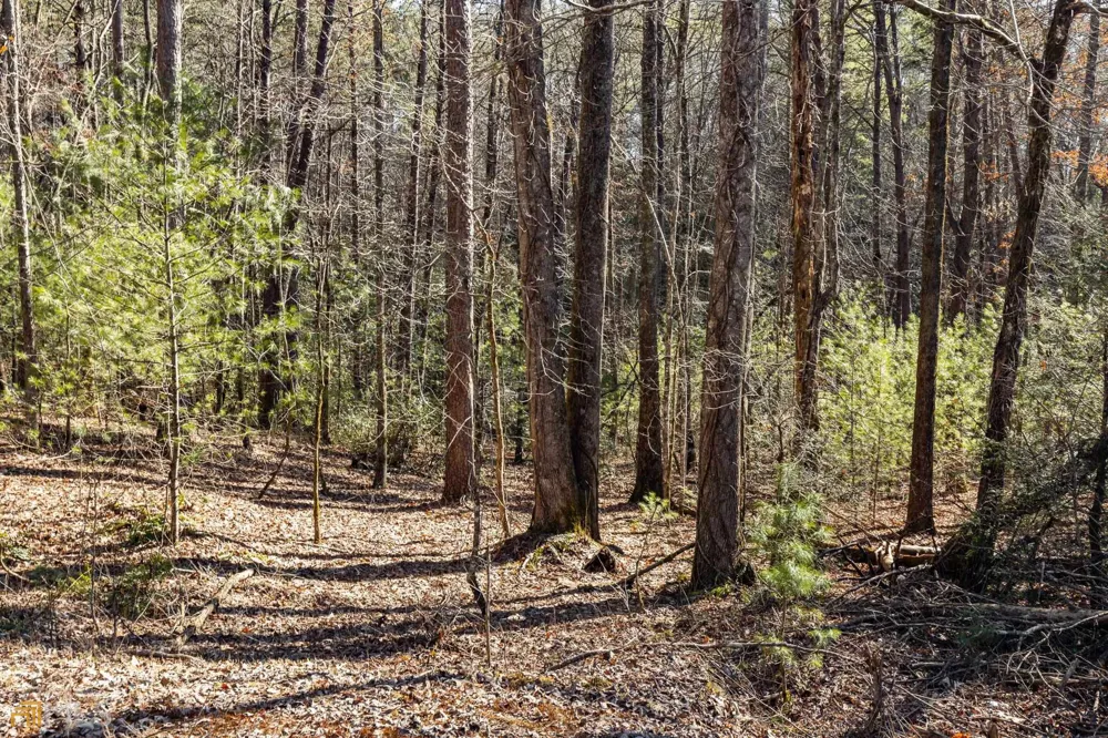 59 AC Hwy 356 & Skylake RD Sautee Nacoochee, GA 30571