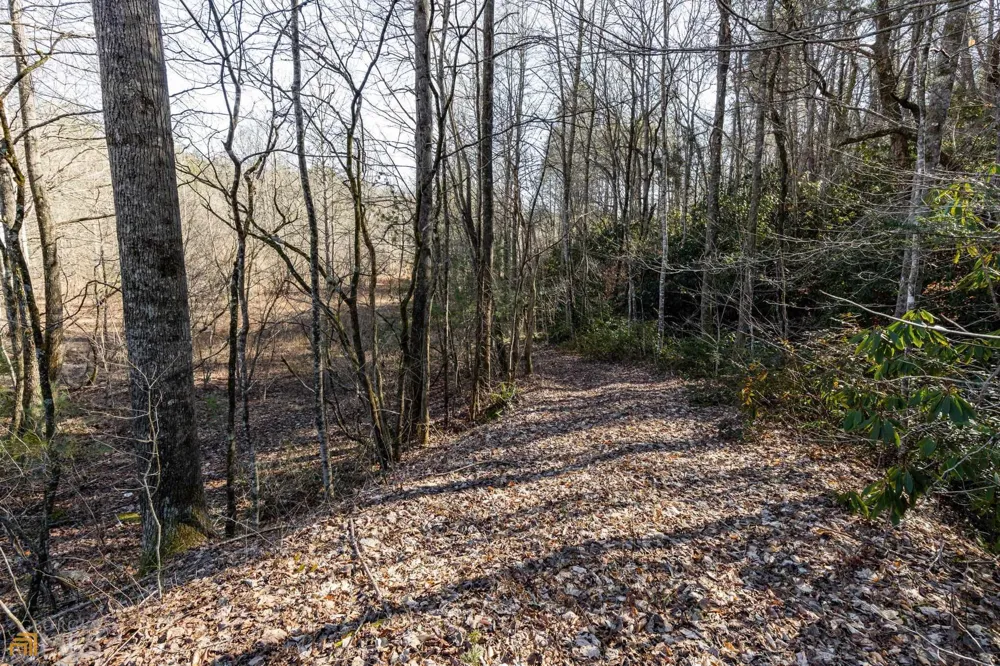 59 AC Hwy 356 & Skylake RD Sautee Nacoochee, GA 30571
