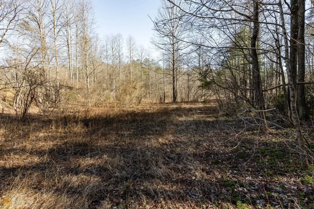 59 AC Hwy 356 & Skylake RD Sautee Nacoochee, GA 30571