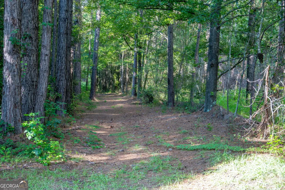 110 Bethel Village RD Eastman, GA 31023