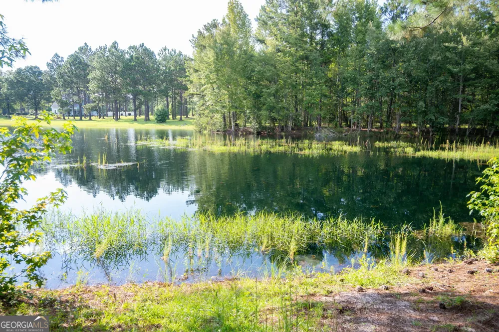 110 Bethel Village RD Eastman, GA 31023