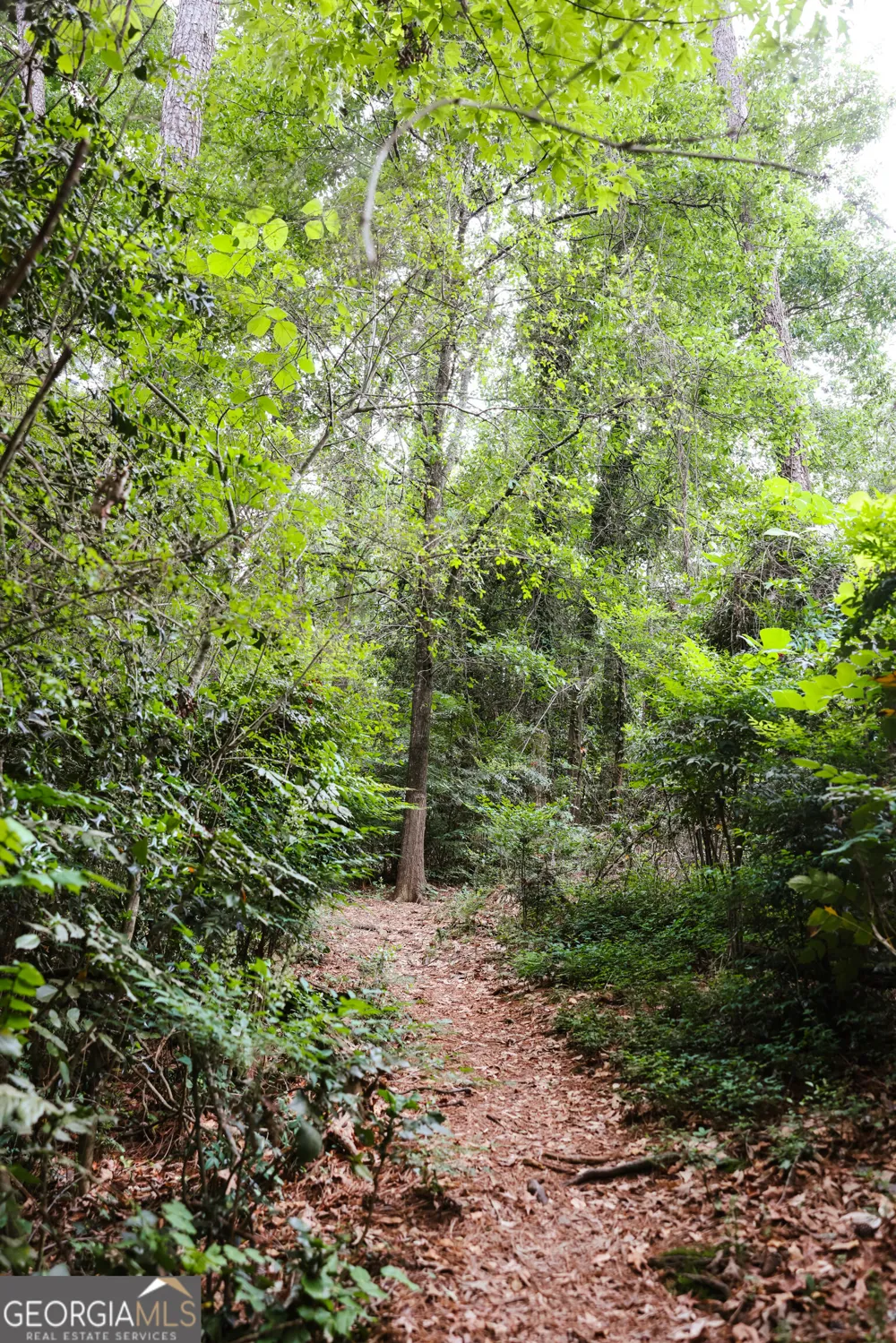 240 Beech Creek RD Athens, GA 30606