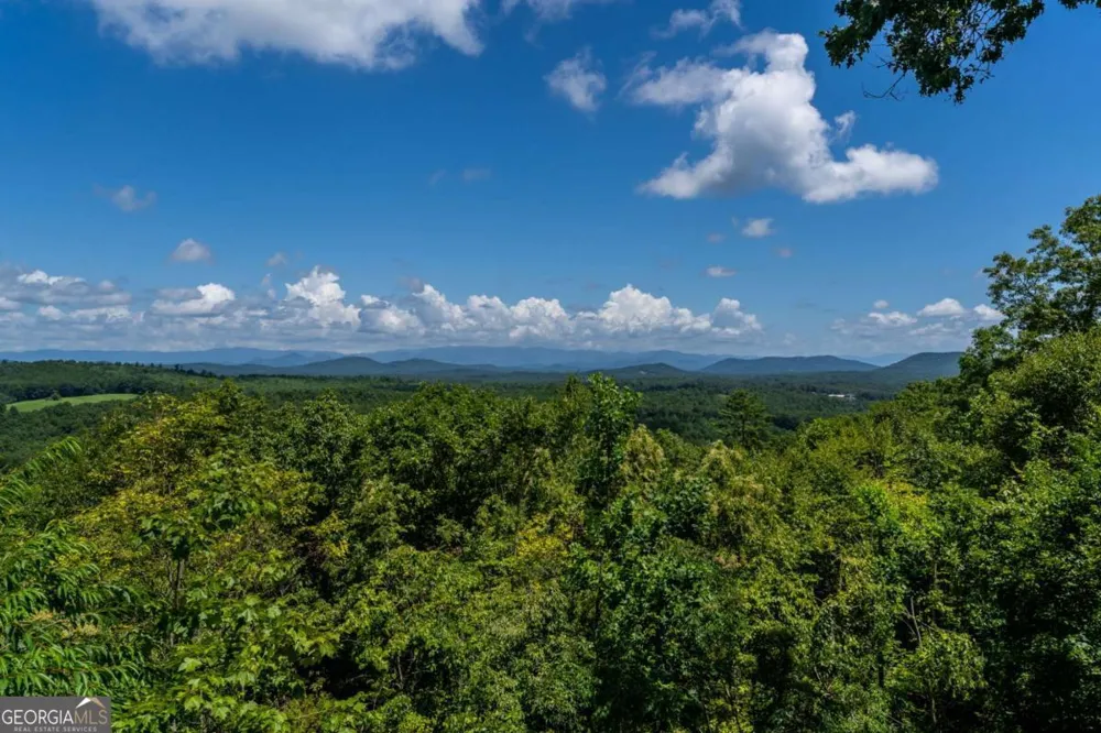 334 Hawksclaw TRL Morganton, GA 30560